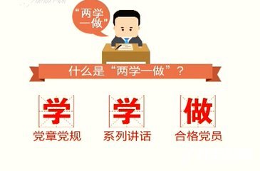 公安局兩學(xué)一做學(xué)習(xí)教育工作情況總結(jié)