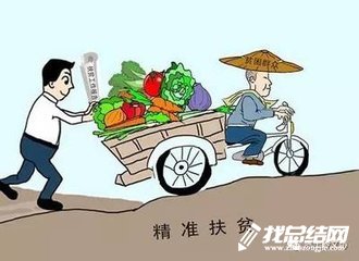 2020年駐村工作隊(duì)精準(zhǔn)扶貧工作總結(jié)