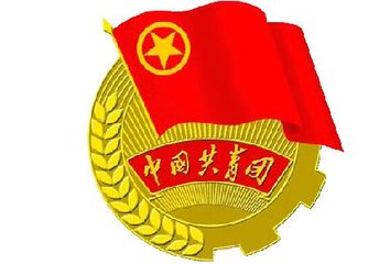 “青年大學(xué)習(xí)”團日活動總結(jié)范文12篇