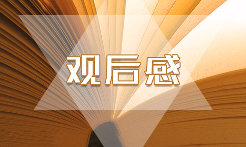 2020感動中國人物黃文秀事跡觀后感個人感想5篇